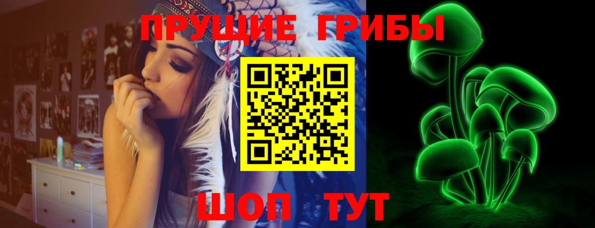 Галлюциногенные грибы GOLDEN TEACHER Елизово